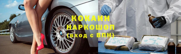 PSILOCYBIN Богородицк