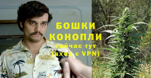 дмт Богданович