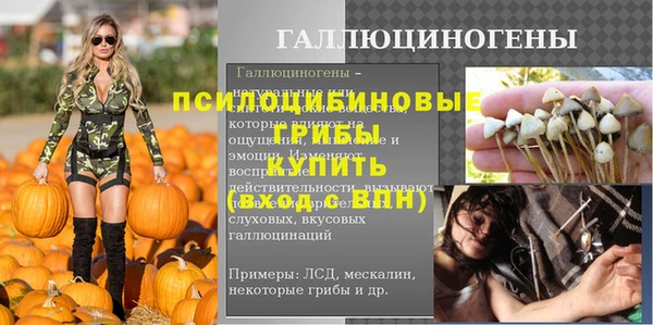 PSILOCYBIN Богородицк