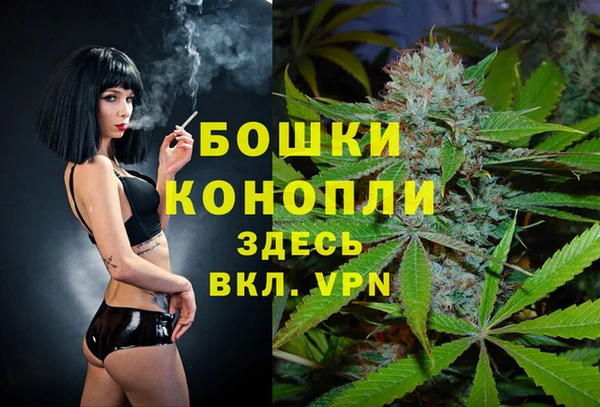 PSILOCYBIN Богородицк