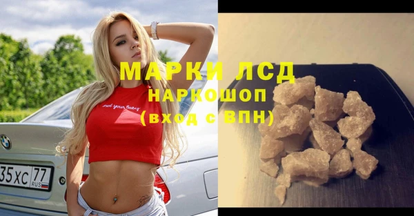 дмт Богданович