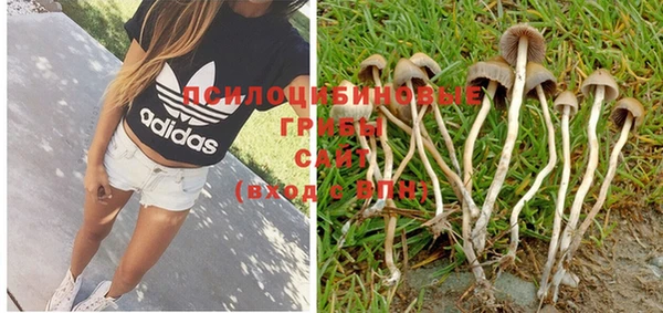 PSILOCYBIN Богородицк