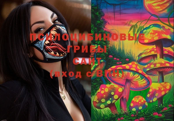 дмт Богданович