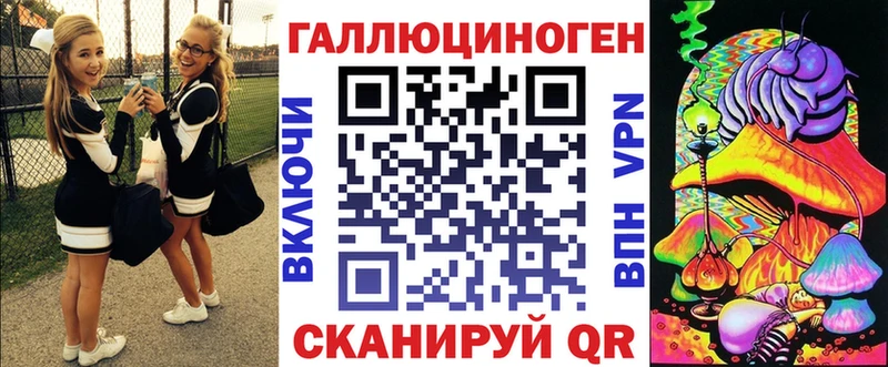OMG вход Беслан Псилоцибиновые грибы Psilocybe